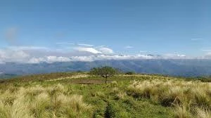 Cerro Taficillo