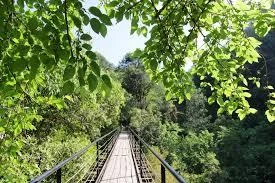 Sendero El Funicular · Foto 4